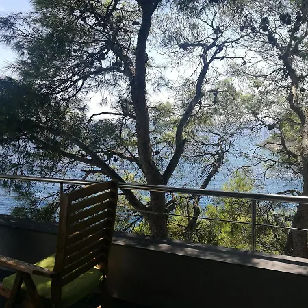 Filipovic Apartman